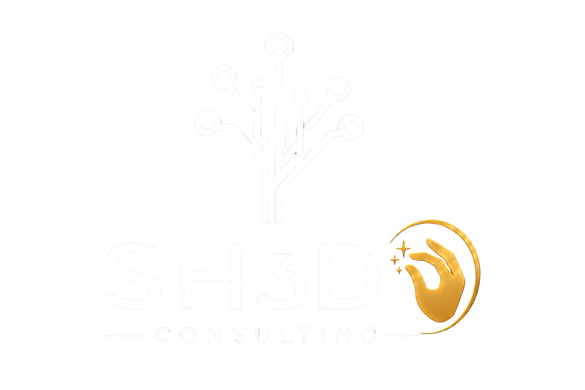 SH3D Consulting logo